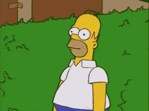 Homer in Bush